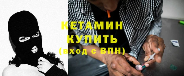 трава Няндома