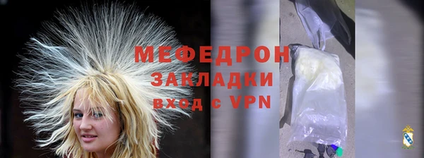 трава Няндома