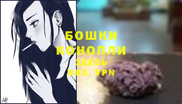 трава Няндома