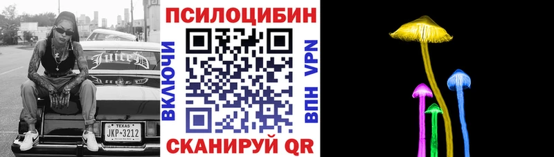 Псилоцибиновые грибы Psilocybine cubensis  Купить  Находка 